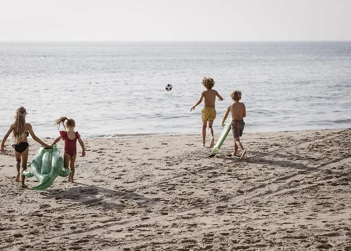 Kd 805 - Kijkduin シャレー